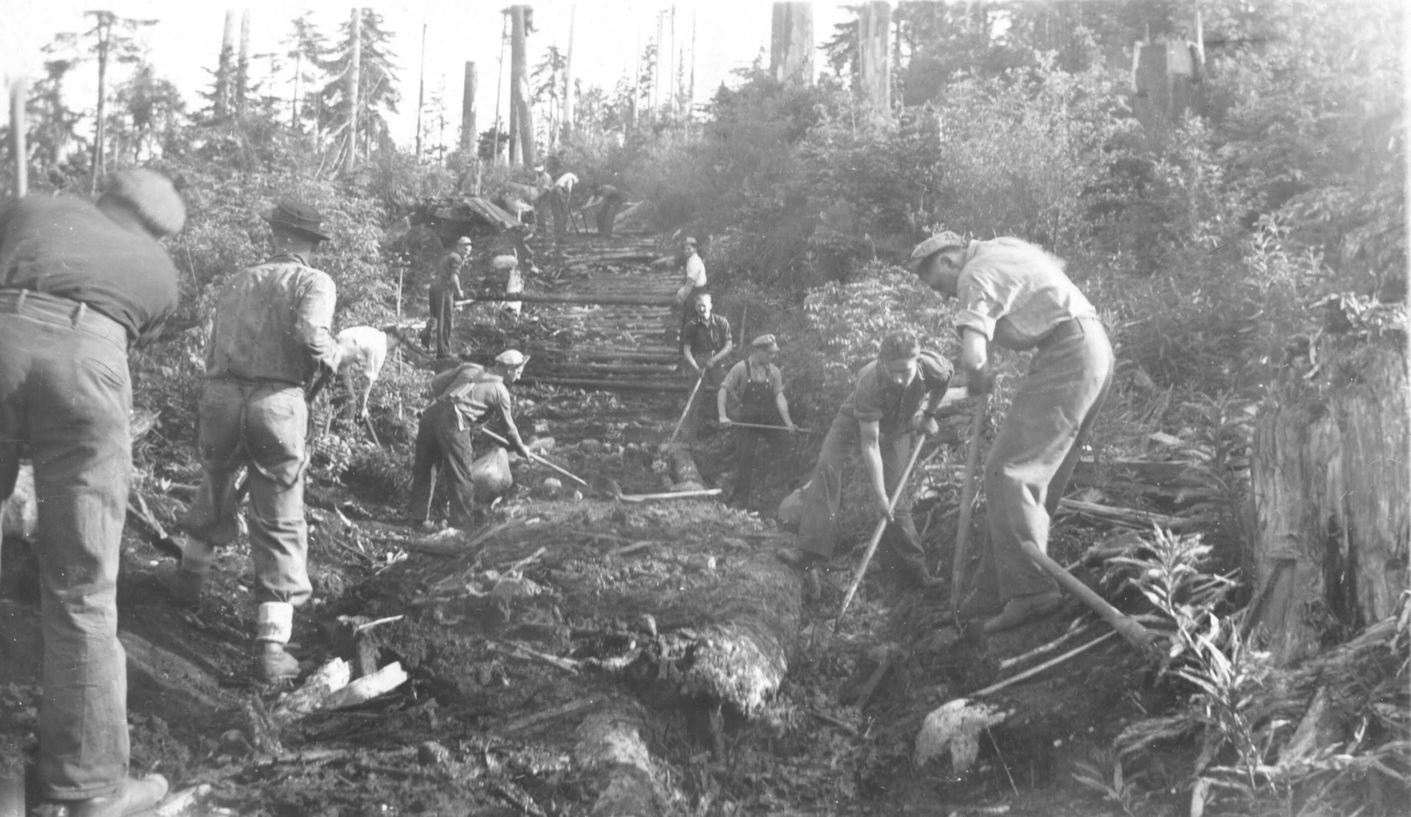 Black and white photograph. Men are clearing a path through a forest to build a road.