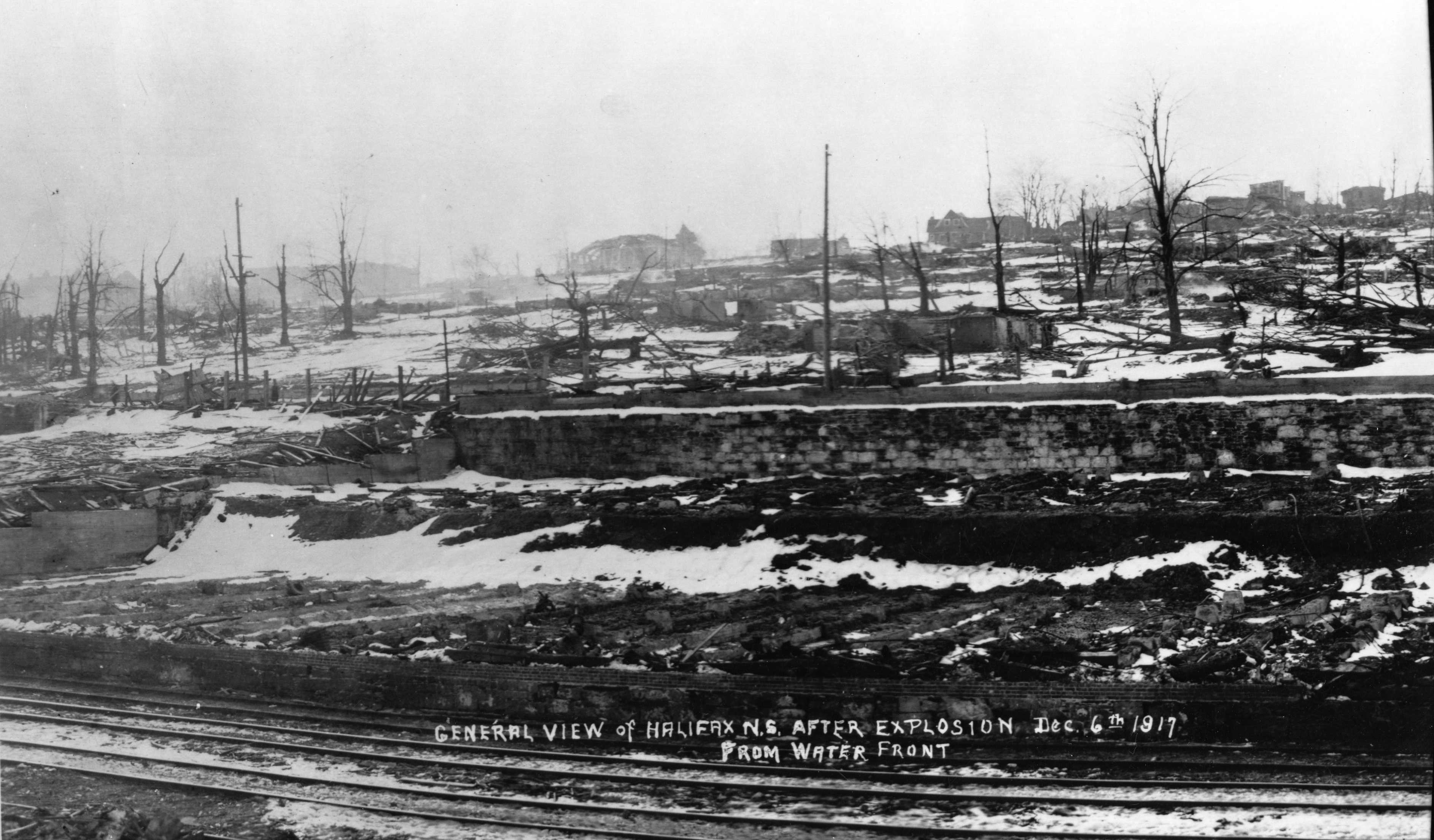 Black and white photograph. A destroyed city, viewed from the waterfront. Skeletal structures, rubble, and charred trees are all that remains.