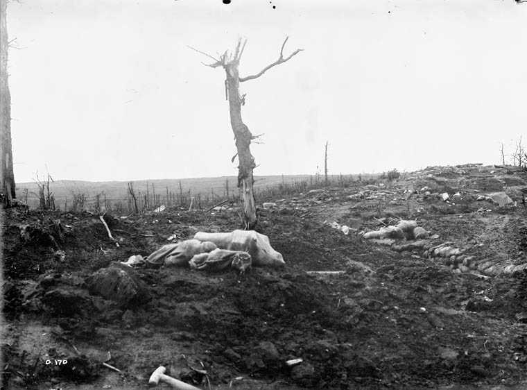 Black and white photograph. An expanse of muddy battlefield is shown; debris is everywhere. A tree stands in the centre. A piece of trench can be seen to the right.