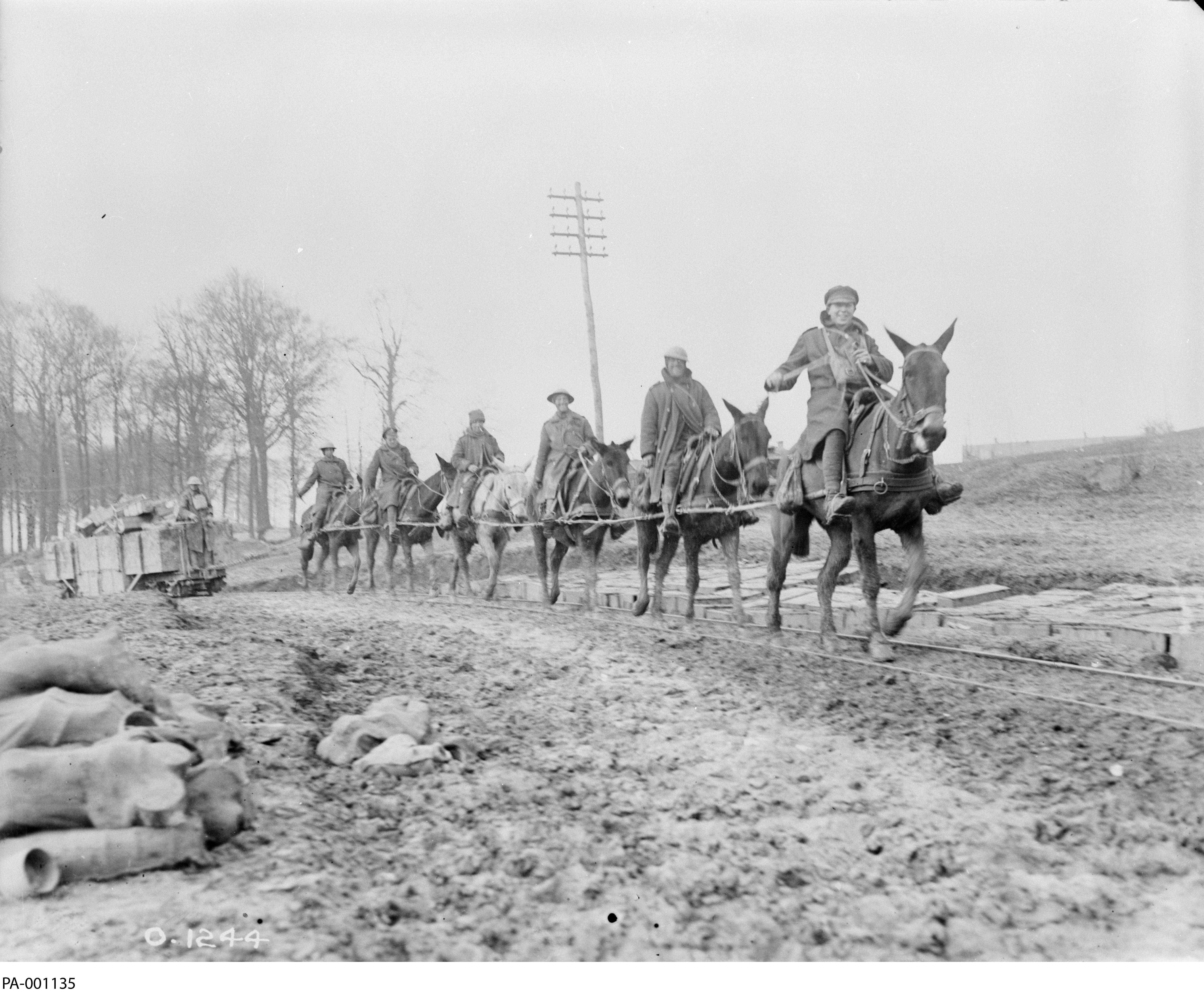 Black and white photograph. 6 men in military overcoats ride mules along a rough road. They pull a wooden cart of ammunition behind them.